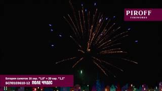 БСП0103610 12  ПОЛЕ ЧУДЕС