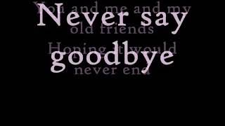 Bon Jovi Never Say Goodbye Lyrics YouTube
