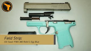 How to Field Strip: SIG Sauer P365-380 Robin's Egg Blue