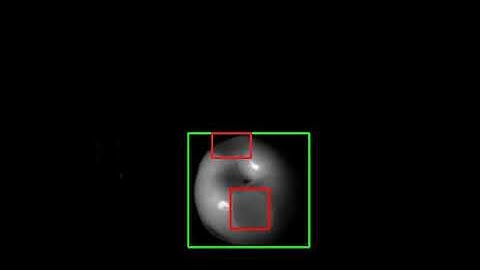 Defect Detection of Apples (Demo)