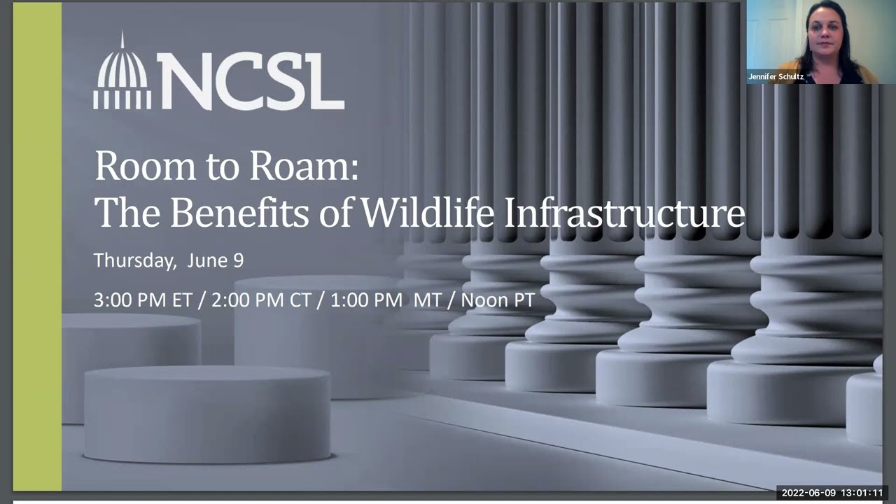 Room to Roam: The Benefits of Wildlife Infrastructure