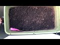 【黒土コンポスト完全バージョン】