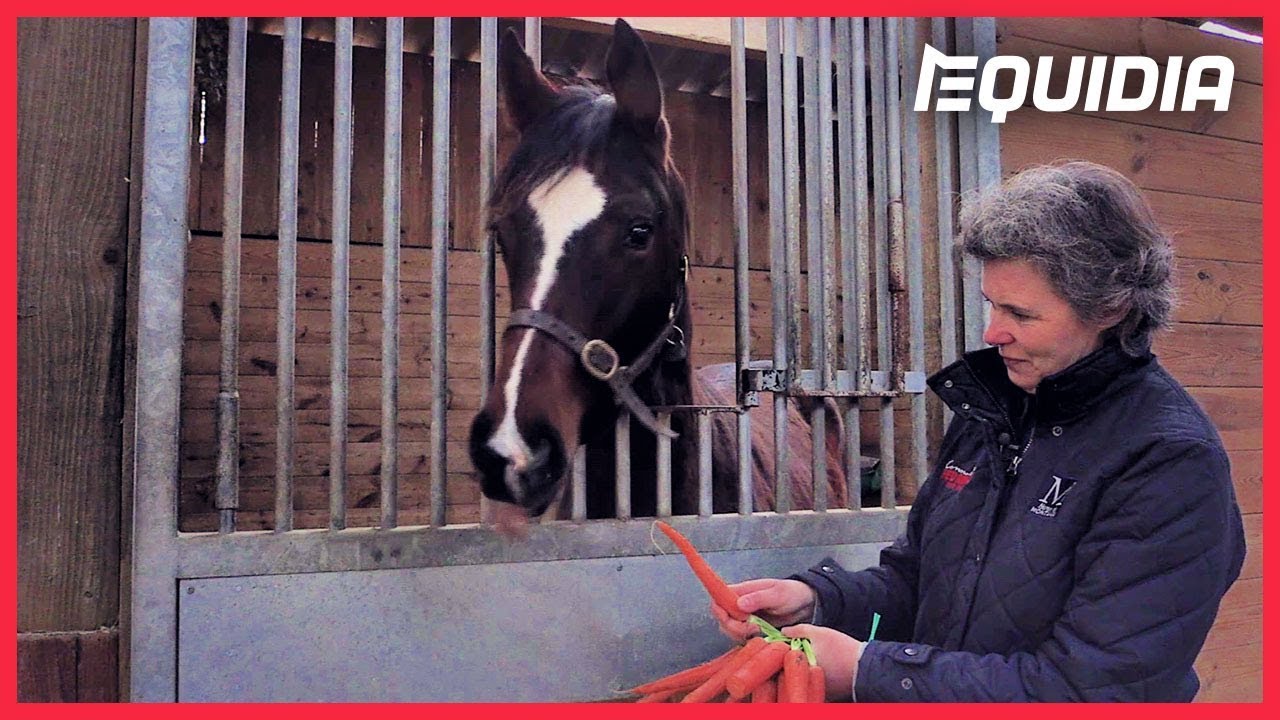 LE POULAIN QUI N'AIMAIT PAS LES CAROTTES ! | Objectif Course #16