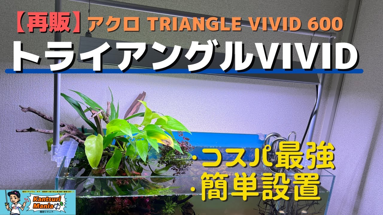 Restocked Nov 2022] Aqueon Triangle VIVID 600: The Best Value LED