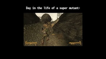 Een dag uit het leven van een supermutant - FNV