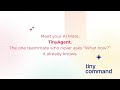 Meet TinyAgents: AI-powered teammates inside your TinyCommand workflows