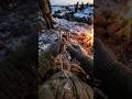Зачем Солдаты Привязывались Друг К Друг Во Время Сна В Снегу? #история