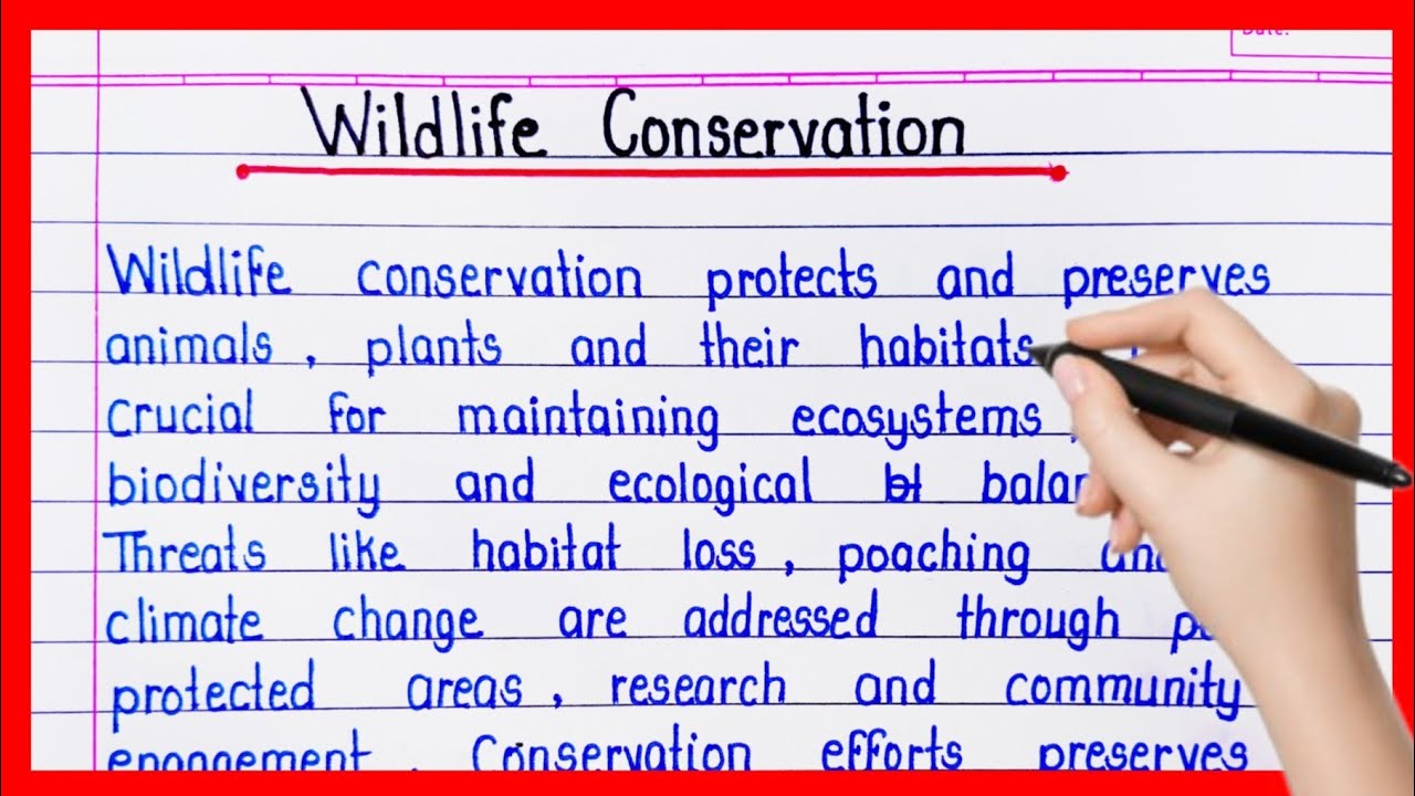 Эссе на тему «Сохранение дикой природы» || Эссе на тему «Сохранение дикой природы» на английском ...