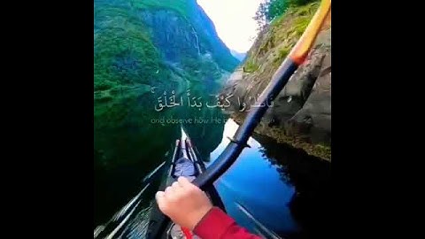 تلاوة عذبة وجميلة #تلاوات #قران_كريم #القرآن_الكريم #تلاوة_مميزة #تلاوة_خاشعة