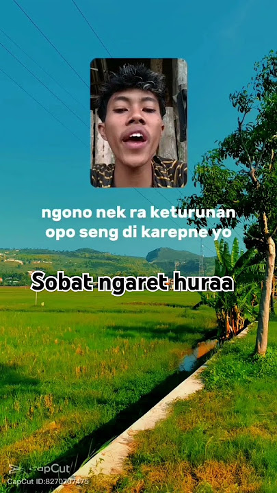 Wong wedok setia angel#sobatngaret #sobatngaretnusantara #fpyシviral