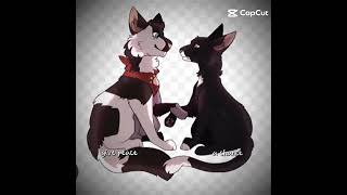 warriors cats edit//#Barley×Ravenpaw//#viralshorts #short #viralvideo #shorts #foryou #warriors #fyp