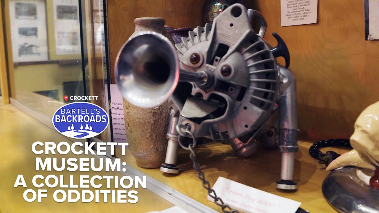 Discover the Quirky Wonders of the Crockett Museum | Bartell's Backroads