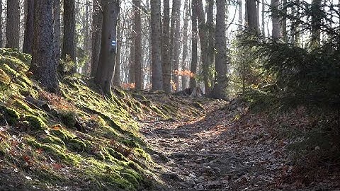 Embracing Failure -The Stepping Stone to Success