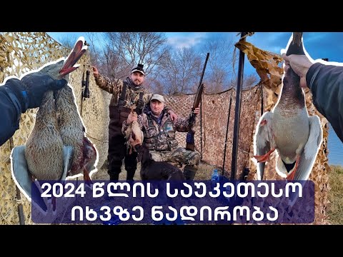 საუკეთესო ნადირობა იხვზე 2024 - the best duck hunting 2024