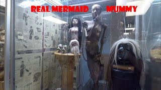 Mountain Oddities Store \u0026 Museum, Scary, Haunted, Mysterious \u0026 Unbelievable Stuff to See for Sale