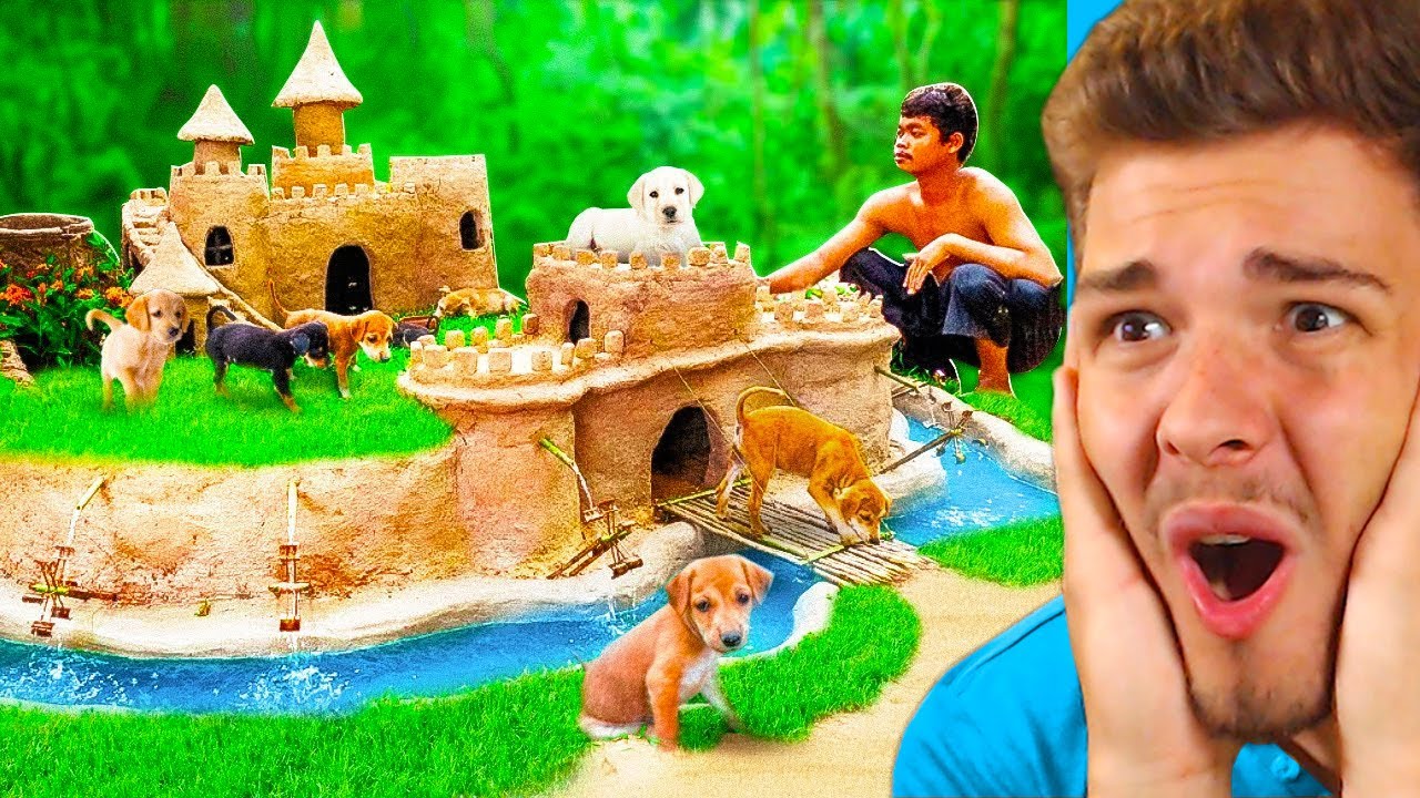Er baut ein UNGLAUBLICHES SCHLOSS HAUS für HUNDE ! YouTube