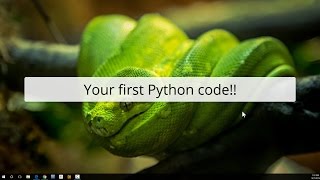 Your First Python Code!