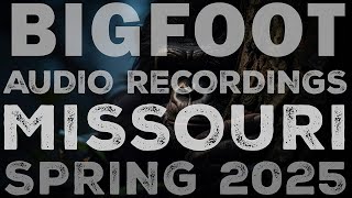 BIGFOOT VOCALIZATIONS | WOOD KNOCKS | SKYQUAKES | FAKE OWL CALLS (THE MERAMEC RIVER IN MISSOURI)