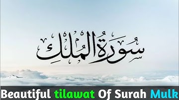 Surah Mulk (The Kingdom) سورة الملك | THIS WILL TOUCH YOUR HEART إن شاء الله | Daily surah Yaseen