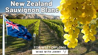 The complete guide to New Zealand Sauvignon Blanc for WSET Level 4 (Diploma)