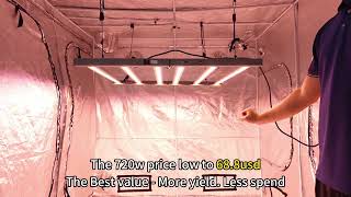 ECO 720W LED Grow Light: Factory Direct at $59! (Perfect for Europe, LATAM & AU Wholesalers) 💰
