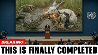 Actual Footage From Florida’s Anti Python Project Reveals the Aftermath NOBODY Expected
