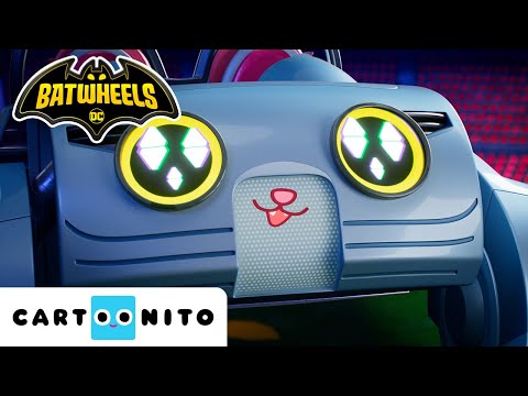 🐱 GIANT CAT ATTACK! 😱 Kitty Kong is on the loose! 🏙️ | NEW Batwheels | Cartoonito