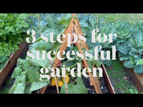Three steps for a robust vegetable garden.