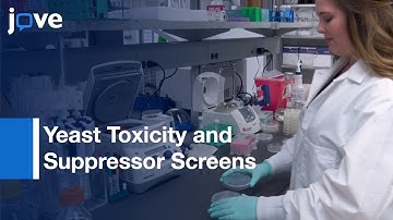 Yeast Toxicity and Suppressor Screens to Identify Host Pathways | Protocol Preview