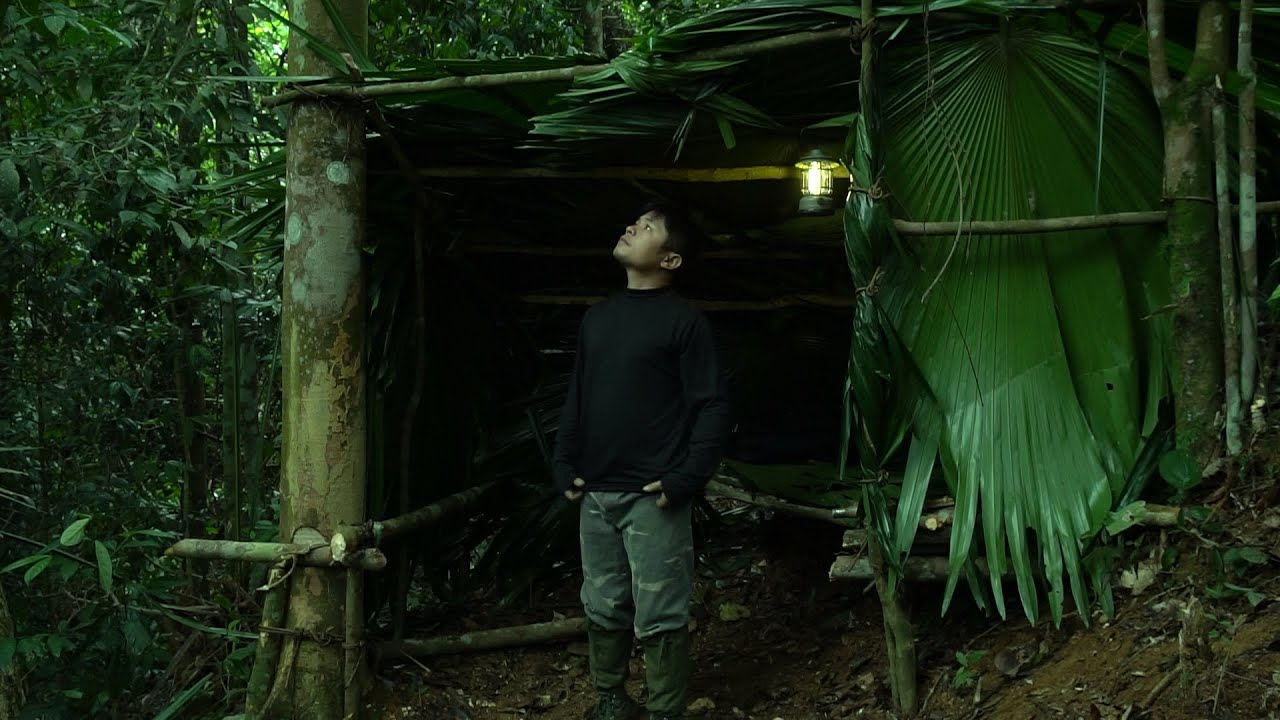 Solo survival CAMPING, Make a shelter for the night alone(NO FOOD, NO ...