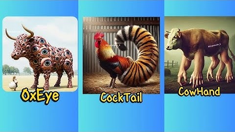 Best of the Literal Vs Reality English Compound Words Part 2