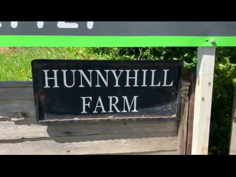 Lot 74 - June Online Auction - Land at Hunny Hill Farm, Hunny Hill, Brighstone, Newport