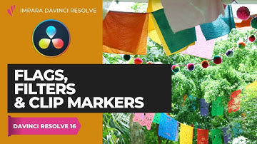 Flags, Filters & Clip Markers | Color | Davinci Resolve ITA