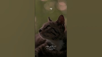 تلاوة خاشعة #عبدالرحمن_مسعد
