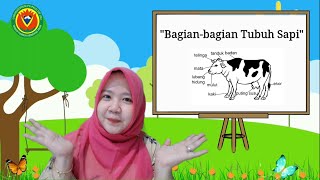 #TTKACeriaUNJ #TemaSapi #UNJ #SFH || Tema Sapi “Mengenal Bagian-bagian Tubuh Sapi”