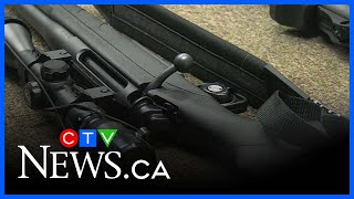 Windsor area police services not partaking in gun buyback program