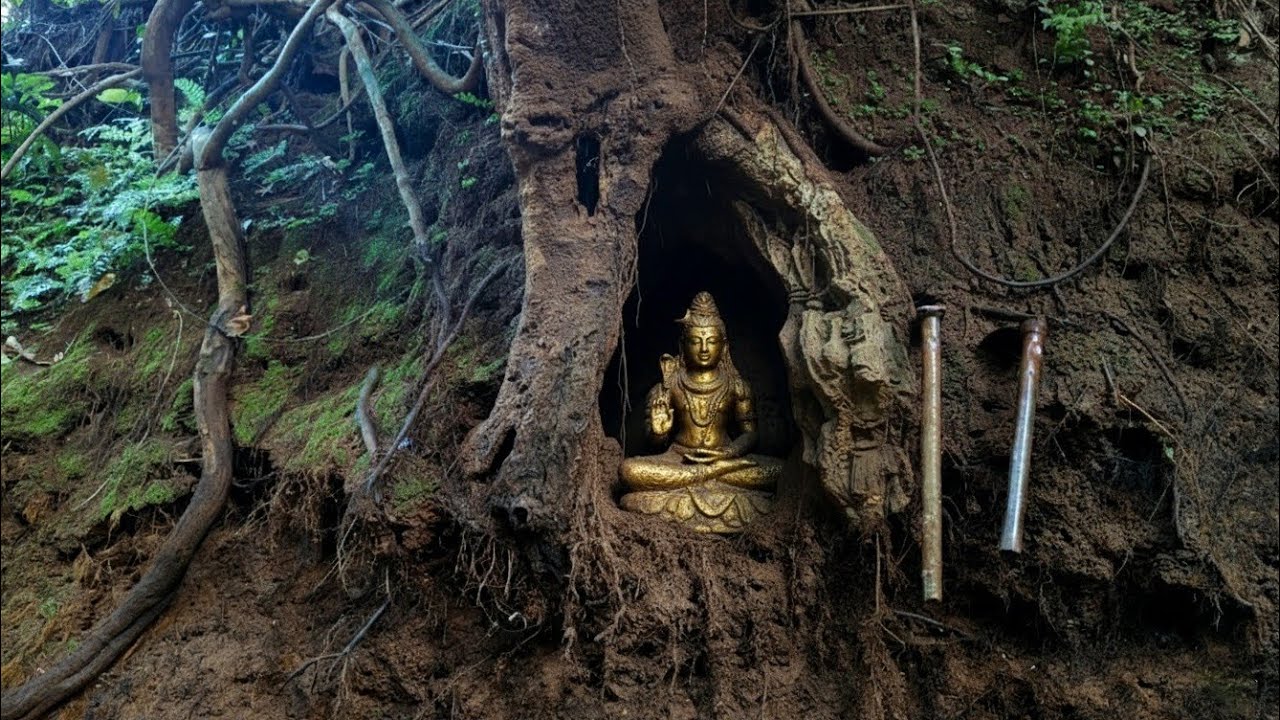 1000-Year-Old TREASURE Found Inside a Tree! #treasurehunt #metaldetecting #ancient #antique #gold