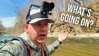 I Found a Ton of Trout… and Kept Losing Them