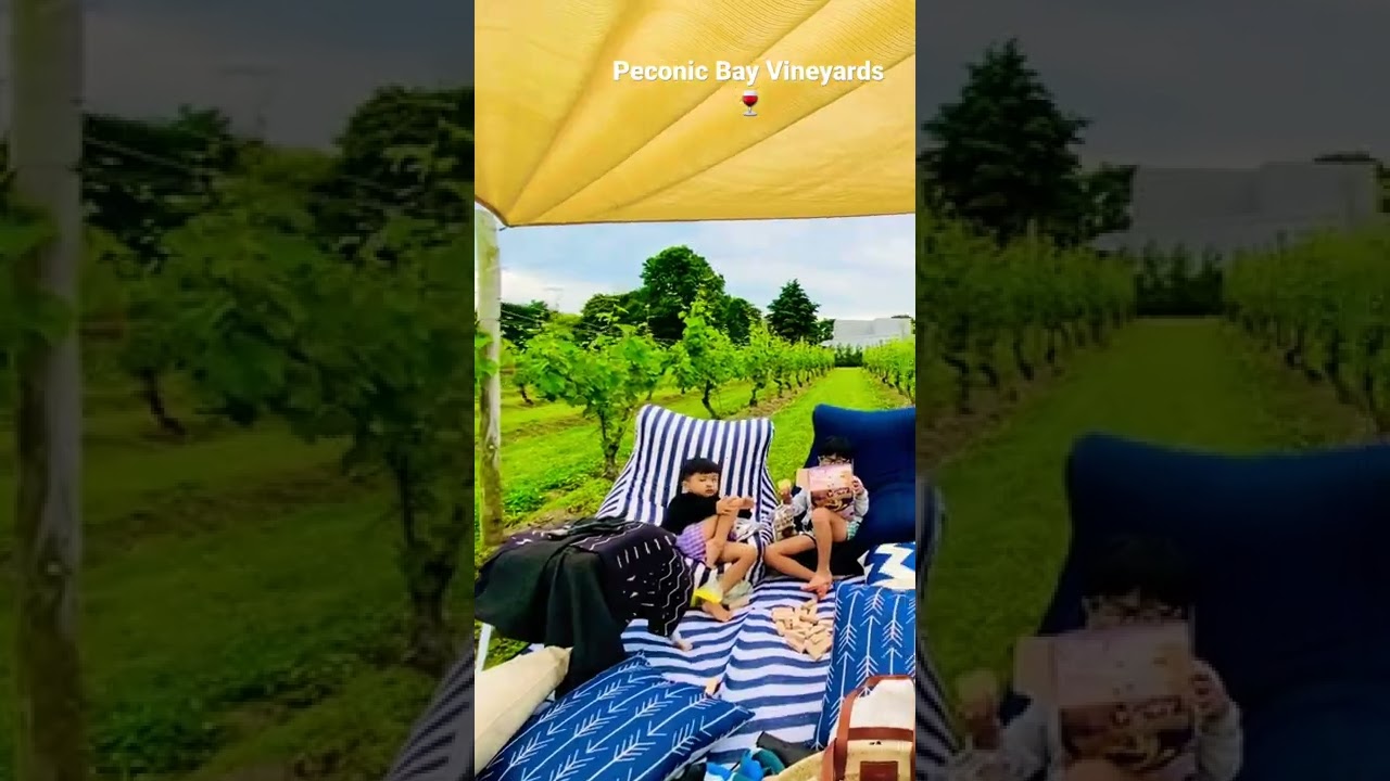 Peconic Bay Vineyards