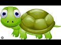 烏龜🐢日常