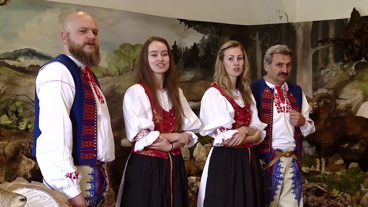 V hlbokej doline Maguranka    #les  #slovakia #brassband #maguranka #slovenskahudba #ľudovky