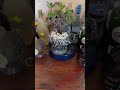 Bar hecho en casa . 🏡
