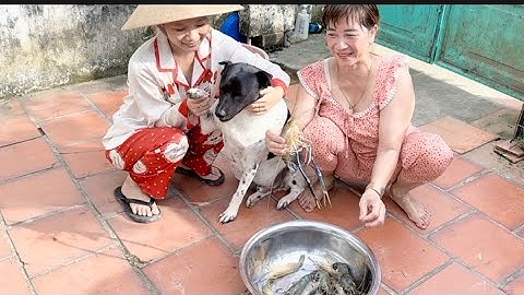 ĐIỂM CÂU NGOÀI BÈ NHIỀU TÔM QUÁ ĐỂ MÒI XUỐNG LỤM TÔM CÀNG KHỦNG LIỀN MÊ QUÁ CÂU TÔM VUI CÙNG NHÂN LÊ