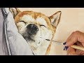 SUB) Watercolor Tutorial | How to Paint Lovely Pet, Shiba Inu with Watercolor