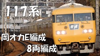 117系 岡オカE-04編成+岡オカE編成 山陽線 三原～糸崎にて　2022/02/20