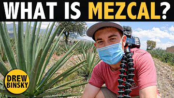 What is the alcohol content of mezcal?