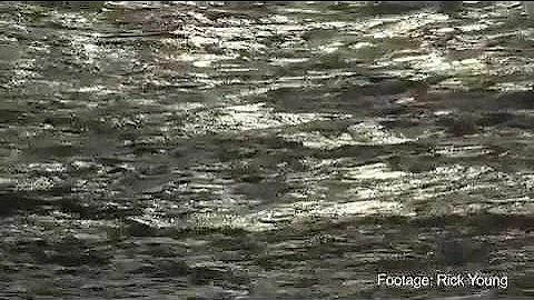 A Guide to the JVC GY-HM100E - Part 4 of 13