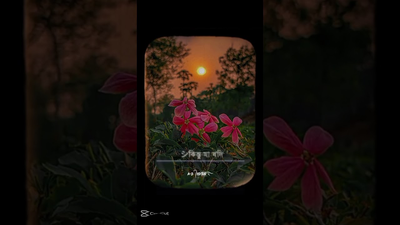 মা যদি বদদোয়া দে আপনার সব শেষ🥰❤️#motivation#mother#shorts#wazstatus#foryou