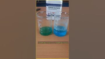 Displacement Reaction | Class 10th Science Experiment | Copper Sulphate to Iron Sulphate