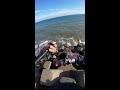 Fishing - Live Stream